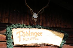 foedinger_alm